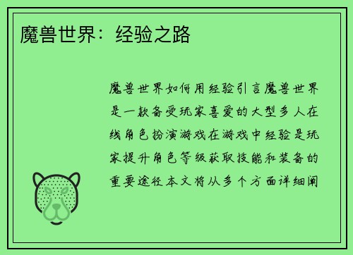 魔兽世界：经验之路